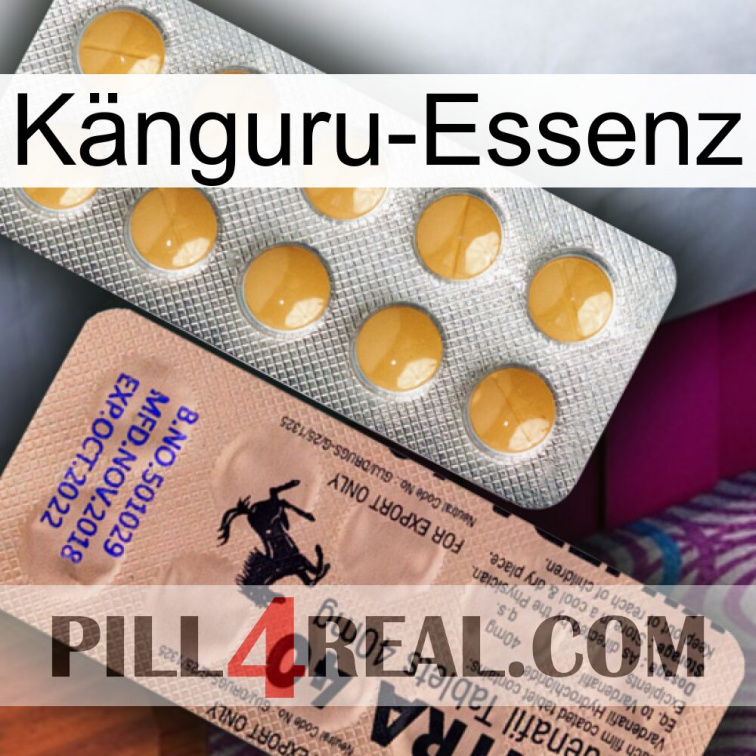 Känguru-Essenz 41